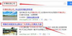 廣東世紀(jì)輝騰環(huán)?？萍加邢薰九c我司做網(wǎng)站推廣項目