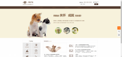 企業(yè)網(wǎng)站設(shè)計以情感化深入滿足了消費(fèi)者的自身情感需求
