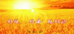 山東省梁山縣徐*生物工程有限公司網站建設新一代自助建站、智能建站系統(tǒng)