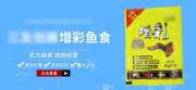 太原馳*電子商務有限公司網(wǎng)站建設參考網(wǎng)站