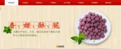 紅太*食品(榮成)有限公司制作網(wǎng)站新一代自助建站、智能建站系統(tǒng)