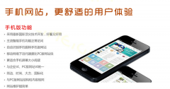 手機(jī)網(wǎng)站設(shè)計(jì)秘籍：從用戶體驗(yàn)到轉(zhuǎn)化率狂飆